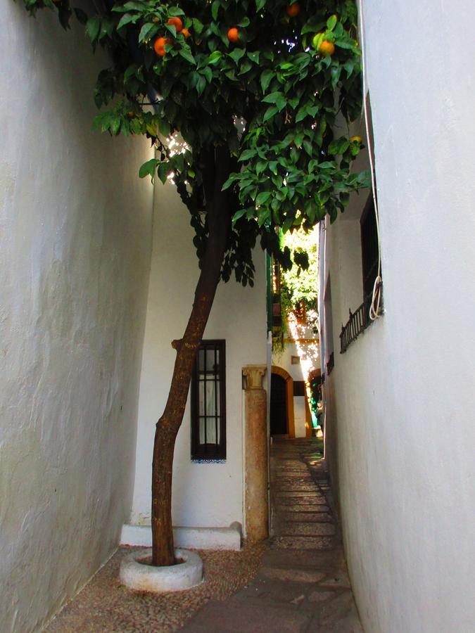 Cordoba Con Encanto Lubi I Εξωτερικό φωτογραφία